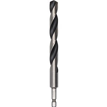 

BOSCH Spirálový vrták HSS PointTeQ Hex 12,0 mm 2.608.577.539