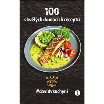 

David v kuchyni 1. díl kuchařky: 100 skvělých domácích receptů