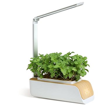 

BOT Chytrý květináč s LED, bílý a světlé dřevo