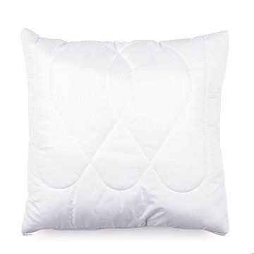 

Brotex Polštářek Aloe Vera 30×40cm 150g se zipem
