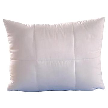 

Brotex Polštář Aloe Vera 50×70cm se zipem