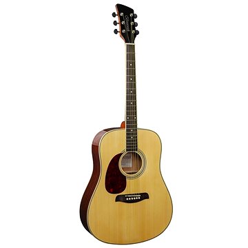 

Brunswick Dreadnought BDL200 Natural LH