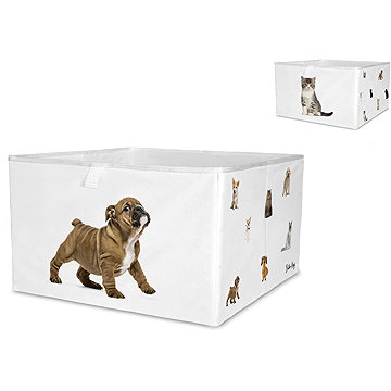 

Butter Kings box the cutest ones, 20 × 32 cm