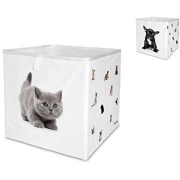 

Butter Kings box the cutest ones, 32 × 32 cm