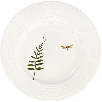 

by inspire Porcelánový dezertní talíř Croft Vážka 20,5 cm, zelený / hnědý