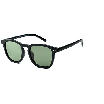

WAYE POLARIZED - 6 - WX0003X006
