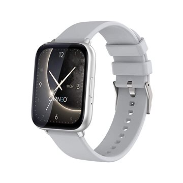 

CARNEO Artemis HR+ silver