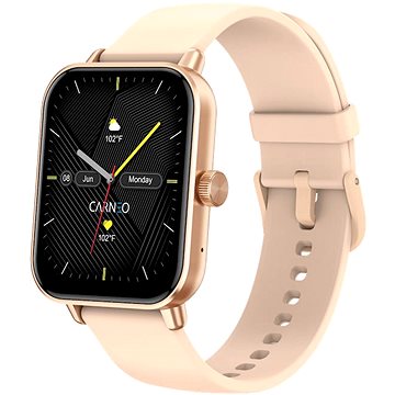 

CARNEO Versa HR+ rosegold