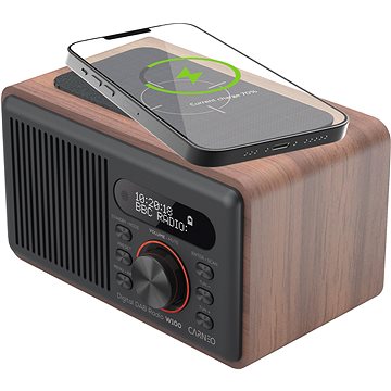 

CARNEO W100, wood