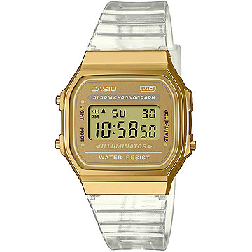 

Casio Collection Vintage A168XESG-9AEF