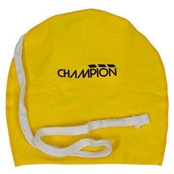 

Champion 331