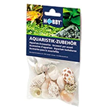

Hobby Sea Shells Set M 10 ks