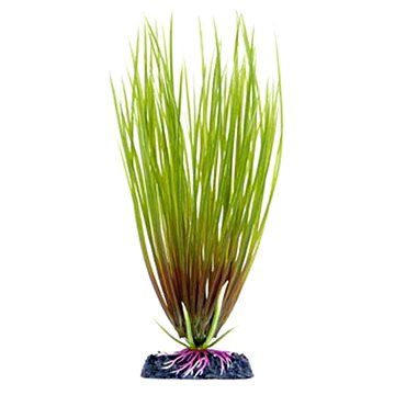 

Penn Plax Hair Grass 22 cm