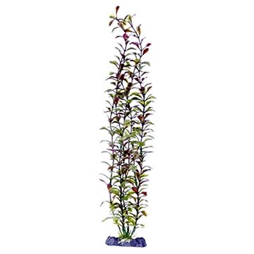 

Penn Pla Blooming Ludwigia Red Super 45,5 cm