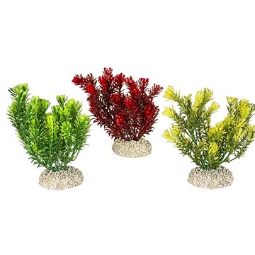 

Ebi Aqua Della Canadensis mix barev 13 cm 1 ks
