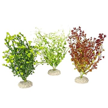 

Ebi Aqua Della Bacopa M mix barev 25 cm 1 ks