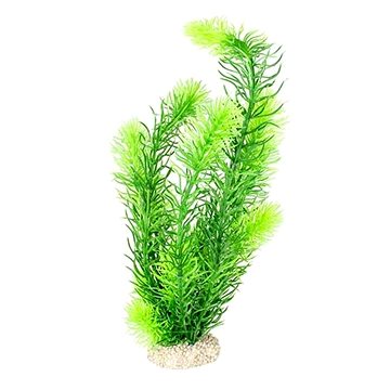 

Ebi Aqua Della Hormwort zelená 32 cm