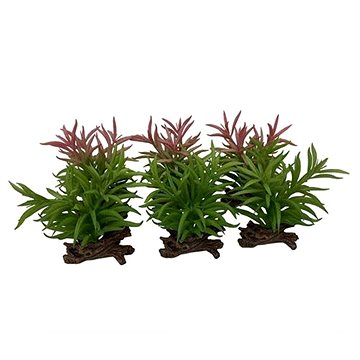 

Ebi Terra Della Rostlina umělá Crassula mix barev 16 cm