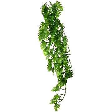 

Hobby Philo popínavá rostlina dekorace do terária 70 cm