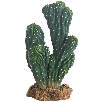 

Hobby Kaktus Victoria 19 cm