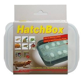 

Lucky Reptile HatchBox 17 × 11 cm