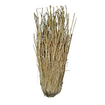 

Lucky Reptile Grass Bushes 25-40 cm