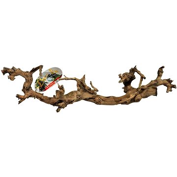 

Lucky Reptile Grapevine S 30-45 cm