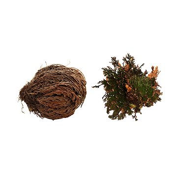 

Lucky Reptile Rose of Jericho 50 g