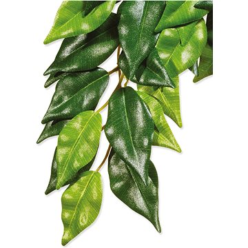 

Hagen Rostlina textil Ficus velká