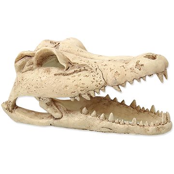 

Repti Planet Dekorace Krokodýl lebka 13,8 × 6,8 × 6,5 cm
