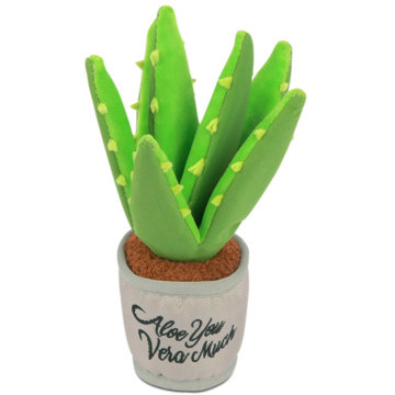 

P.L.A.Y. Aloe