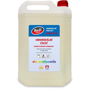 

REAL Profi Denní úklid 5 l