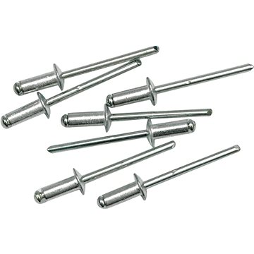 

VOREL Nýt hliníkový 3,2 x 9,6 mm 50ks TO-70330