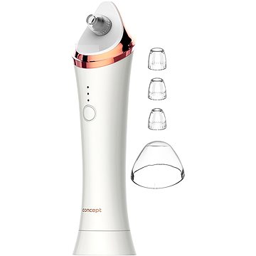 

CONCEPT PO2010 PERFECT SKIN