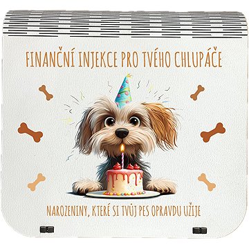 Coolkousky Originální dárková krabička na bankovky v injekcích - "Finanční pomoc pro tvého chlupáče"