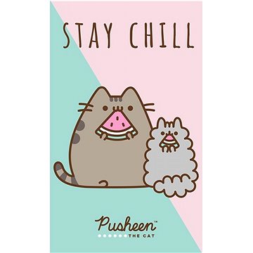 

Carbotex Dětský ručník Kočička Pusheen Stay Chill, 30 × 50 cm