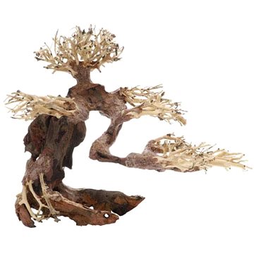 

Dupla Bonsai M přírodní dřevěná dekorace 30 × 15 × 23 cm