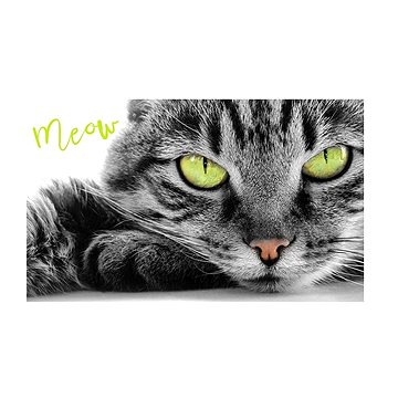 

Carbotex Dětský ručník Kocourek Oskar 30 × 50 cm
