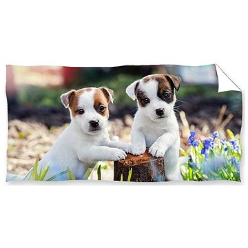 

Carbotex Bráškové Jack Russell Teriér