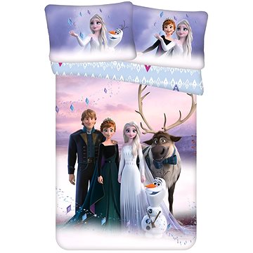 

Jerry Fabrics Disney Frozen "Elements" baby 100×135, 40×60 cm
