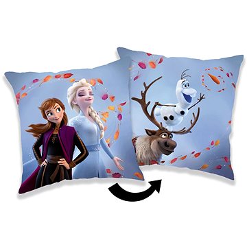 

Jerry Fabrics Polštářek Frozen Wind