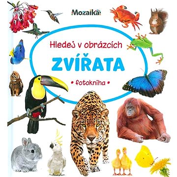 

Zvířata - Hledej v obrázcích