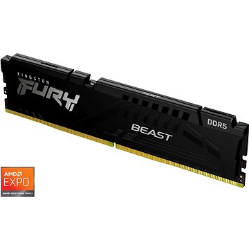 

Kingston FURY 16GB DDR5 5600MHz CL36 Beast Black EXPO