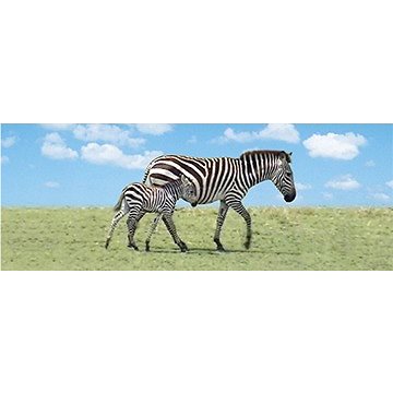 

Záložka Úžaska Zebra s mládětem