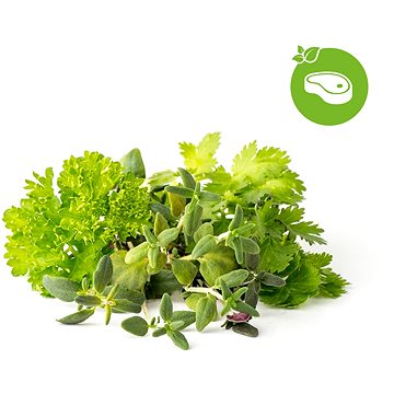 

Click and Grow Mix Steak & Grill