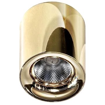 

Azzardo AZ2846 - LED Stropní svítidlo MANE 1xLED/10W/230V