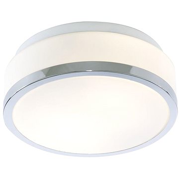 

Searchlight - Koupelnové stropní svítidlo DISC 1xE27/60W/230V IP44