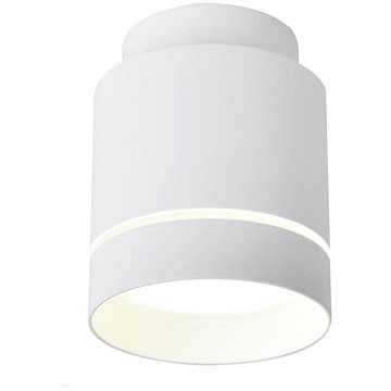 

LED Stropní svítidlo TUBA LED/12W/230V