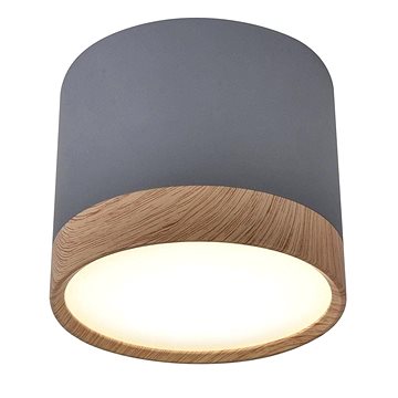 

LED Stropní svítidlo TUBA LED/9W/230V
