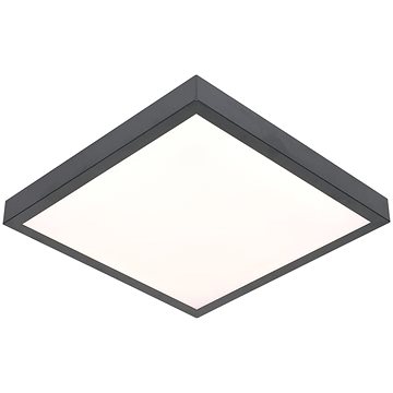 

LED Stropní svítidlo VITALI LED/24W/230V